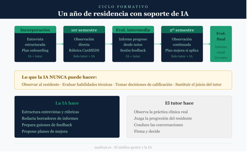 Un año de residencia con soporte de IA Diagrama de cinco etapas del ciclo formativo: incorporación, primer semestre, evaluación intermedia, segundo semestre y evaluación final. Cada etapa indica el rol de la IA y del tutor. Incluye advertencia sobre lo que la IA nunca puede hacer.